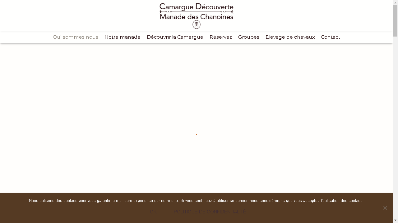 Capture d'écran de http://www.camargue-decouverte.fr/